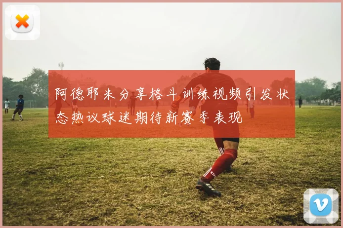 阿德耶米分享格斗训练视频引发状态热议球迷期待新赛季表现