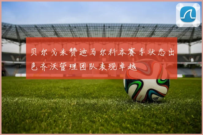 贝尔戈米赞迪马尔科本赛季状态出色齐沃管理团队表现卓越