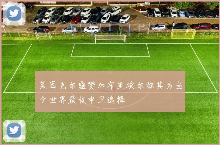莱因克尔盛赞加布里埃尔称其为当今世界最佳中卫选择