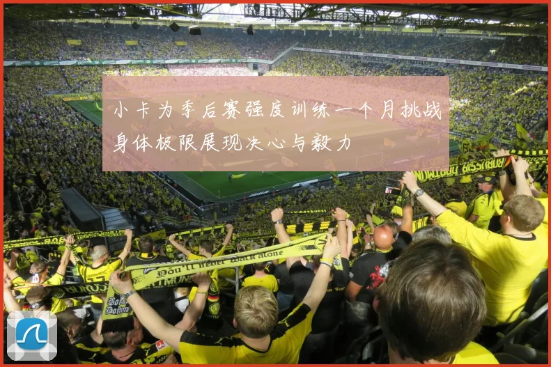 小卡为季后赛强度训练一个月挑战身体极限展现决心与毅力